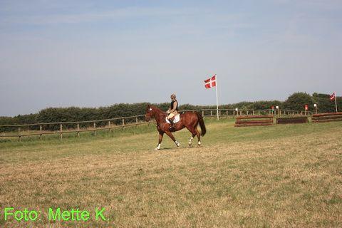 skaarup 09 236.JPG